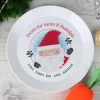 Santa Christmas Mince Pie Plastic Plate